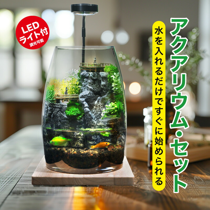 楽天市場】アクアリウムセット ミニチュア ランドスケープ Bタイプ 7点