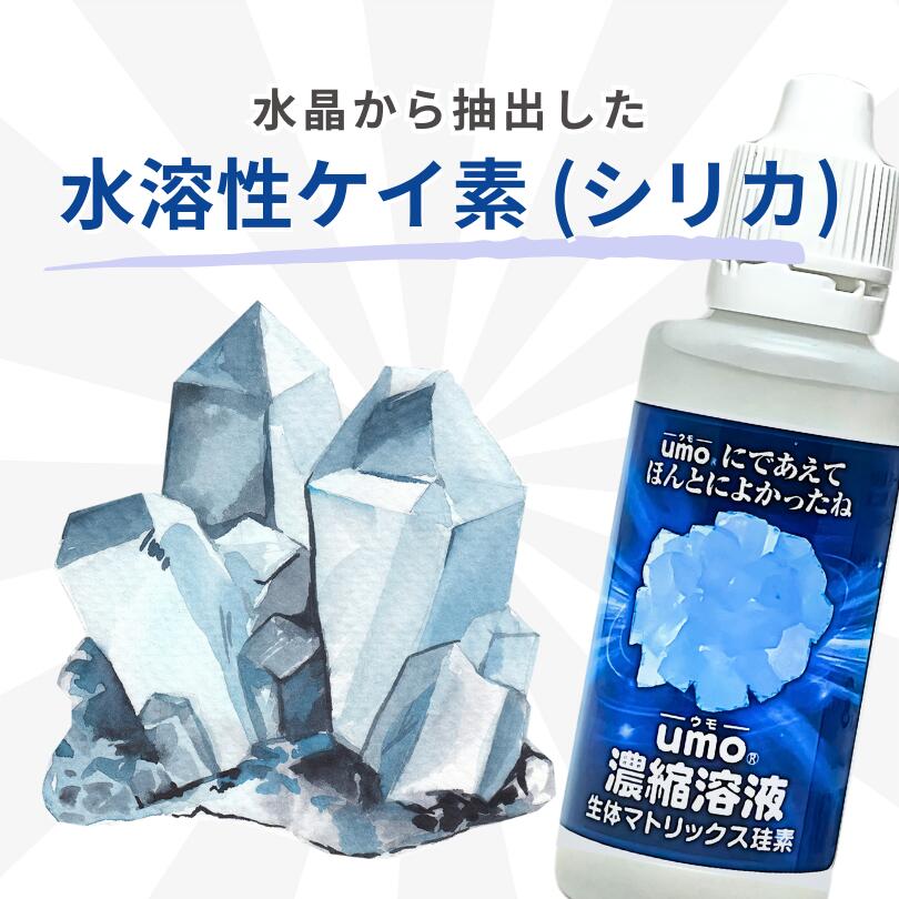 楽天市場】umo濃縮溶液 50ml シリカ水 が作れる 水溶性ケイ素 水 正規
