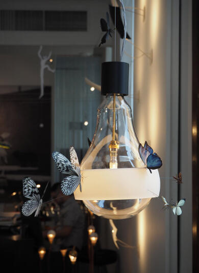 楽天市場】INGO Maurer/インゴ・マウラーデザイン Flatterby