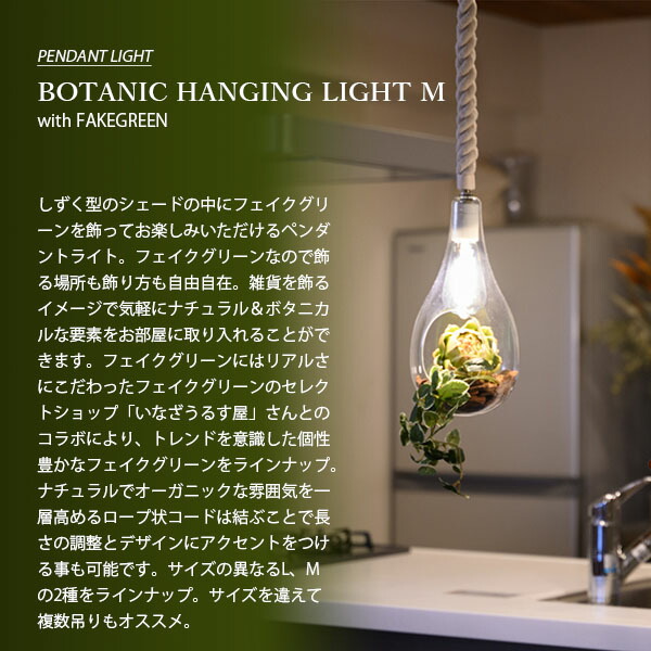 SWAN スワン電器 ボタニックハンギングライト(L)電球無 SWAN スワン