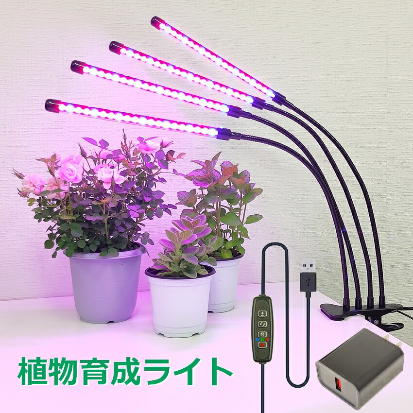 癒し植物ナイトライトグロウライト付き多肉植物の鉢 植物育成 LED USB