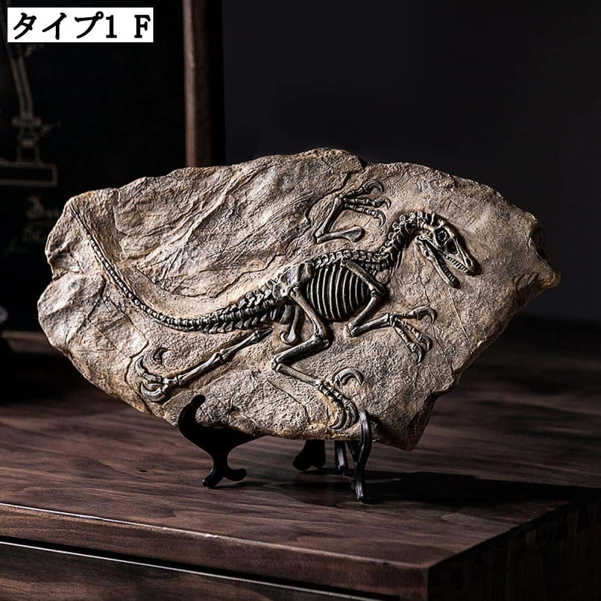 おすすめ 黒いアンモナイト 化石 インテリア 家具 置物 レトロ