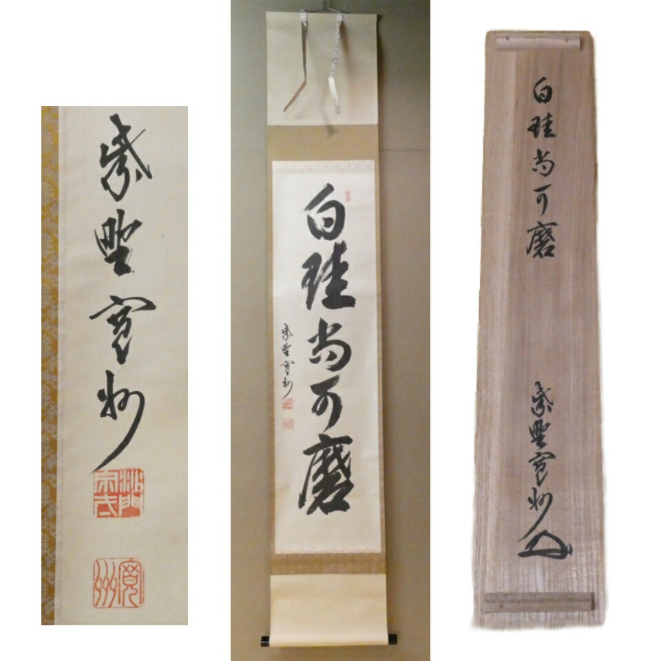 楽天市場】白珪尚可磨の通販