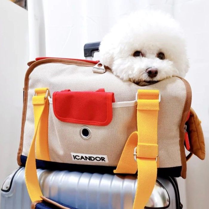 楽天市場】※予約販売【iCANDOR】i bag（Sassy Cream） 犬用キャリー