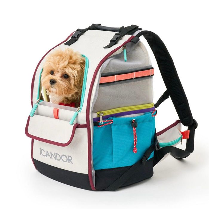 楽天市場】※予約販売【iCANDOR】JIGE bag（Misty Gray）iCANDOR JIGE