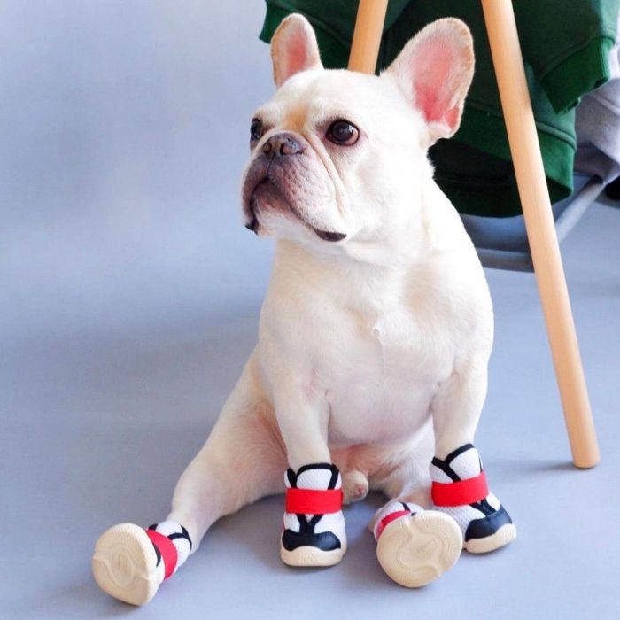 RIFRUF】ドッグシューズ【XS（1）】 海外犬服 高品質なインポートの
