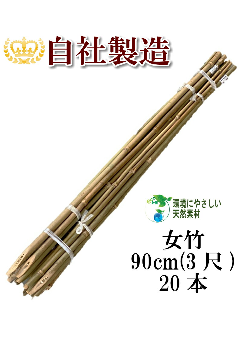 楽天市場】女竹 90cm 20本 篠竹 しの竹 竹支柱 添え木 園芸用 農業用