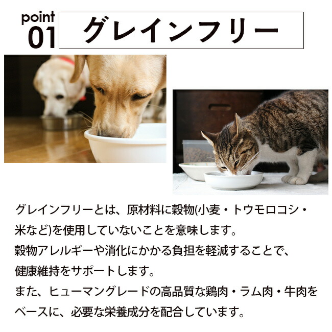 楽天市場】公式 メディムース 猫用 選べる24個セット【Vet's Labo