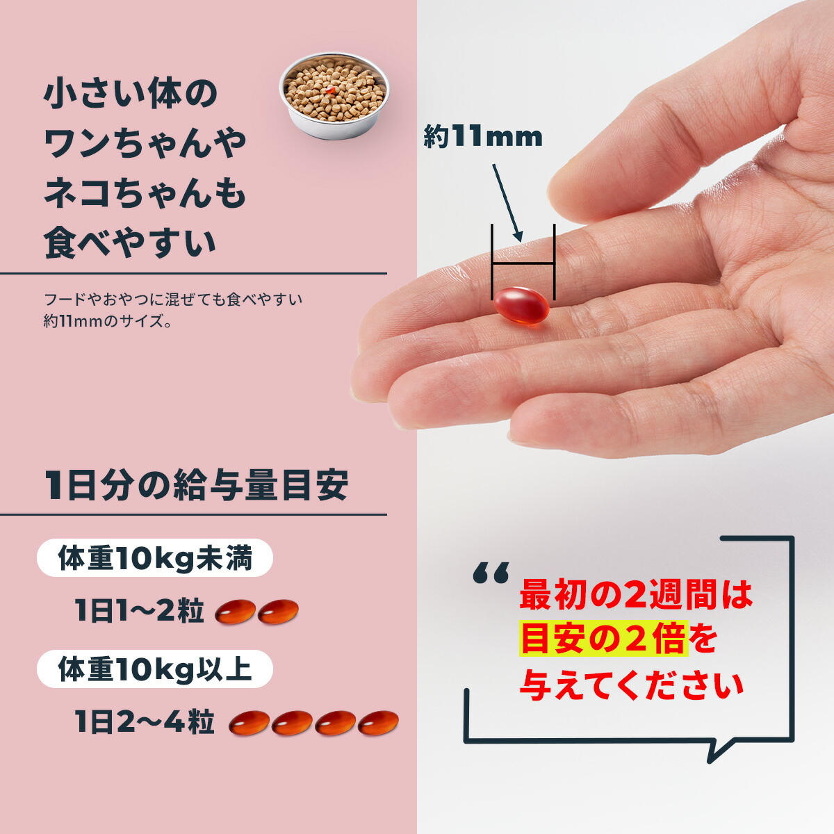 楽天市場】【公式】 アンチノール プラス ペット サプリ サプリメント