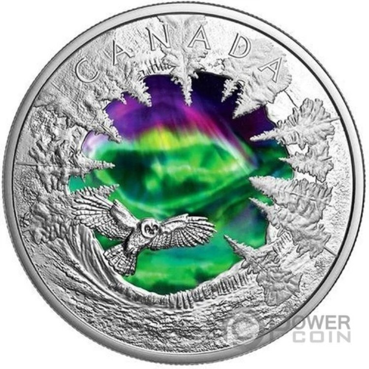 楽天市場】マジック・オブ・ザ・オーロラ シルバーコイン 30ドル