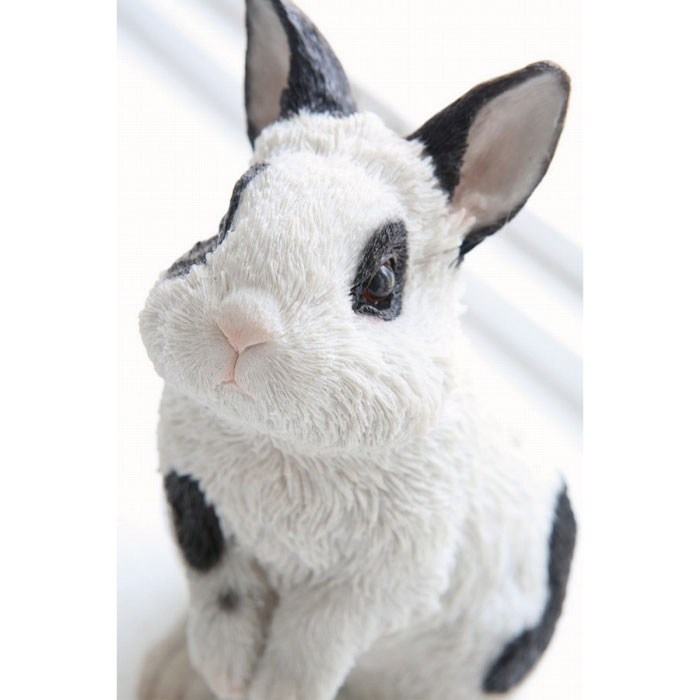 楽天市場】うさぎ 白い 黒ぶち ウサギ 兎 ラビット 動物雑貨