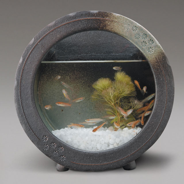 楽天市場】メダカ 水槽 おしゃれ メダカ鉢 鉢 メダカ入れ 金魚鉢 陶器