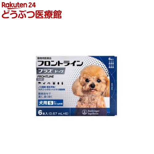 楽天市場】オーツスポットフォーム(200ml*6本セット) : 楽天24