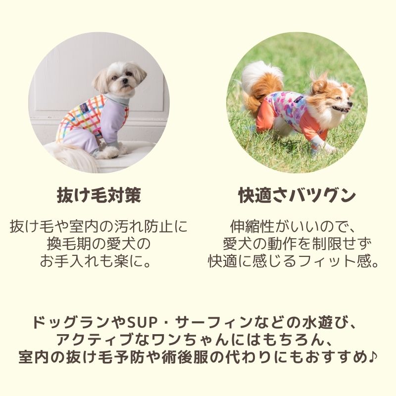 楽天市場】【2025年モデル】アクティブロンパース 犬用ラッシュガード