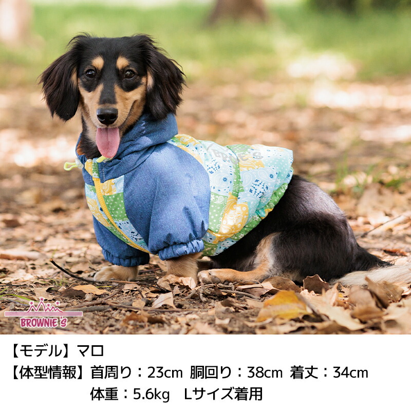 chocolat de vanilla 犬服 水色ストライプ レース裾 chocolat de