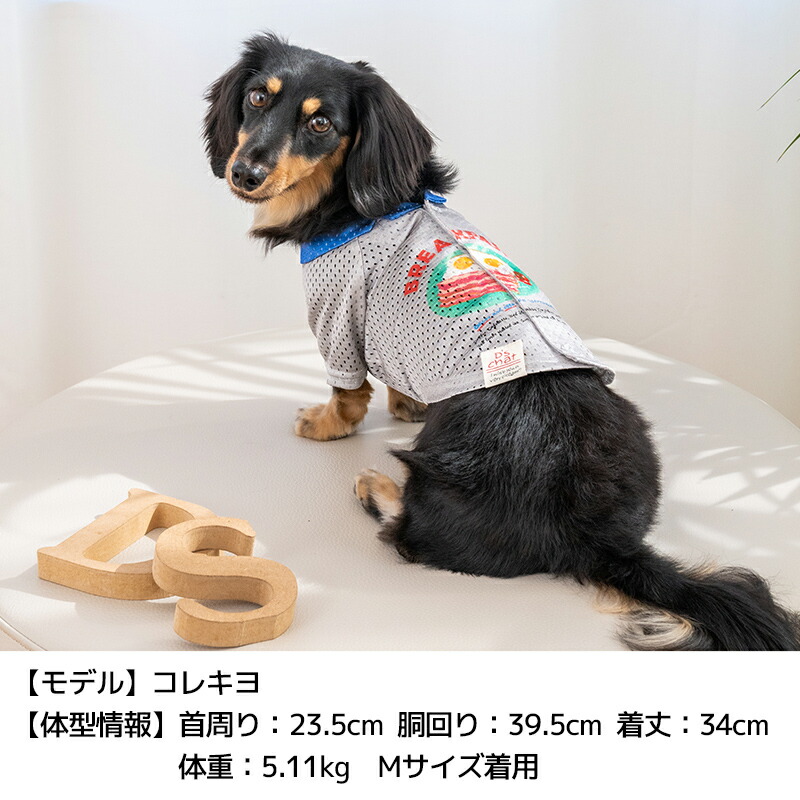 犬服 3S わんこの普段着 グラフィック 犬服 3S わんこの普段着