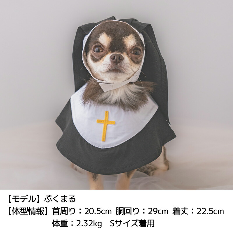 楽天市場】【公式通販限定】なりきりシスタースタイ S/M/L SOLGRA