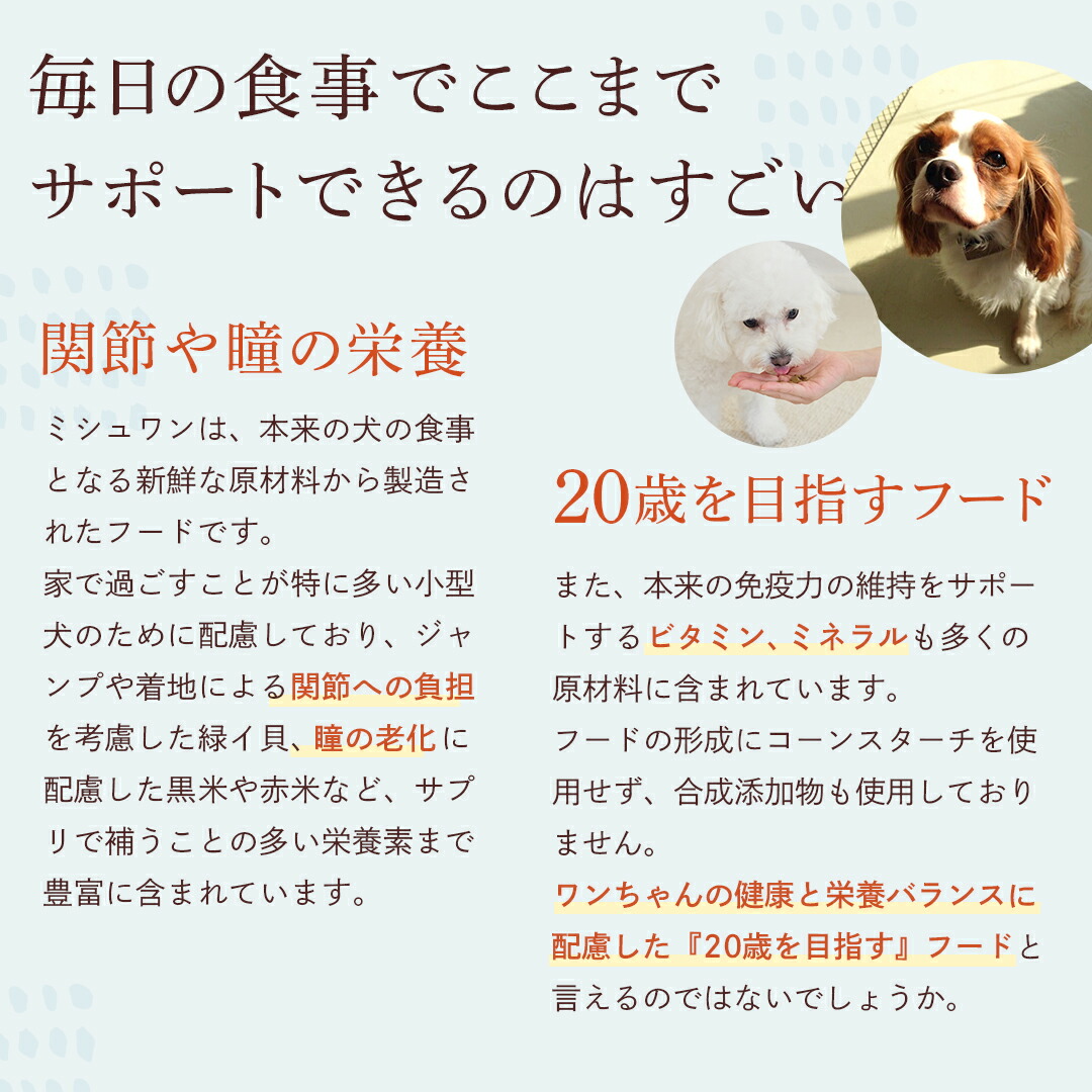 楽天市場】【公式】 【3個セット】 ミシュワン MISHONE ドッグフード