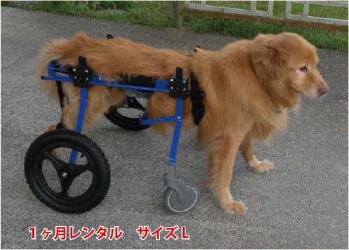 楽天市場】【犬用車椅子レンタル 1ヵ月レンタル】4輪のK9カート L