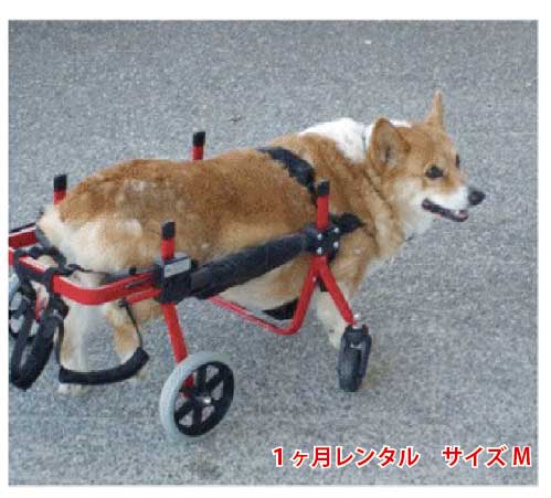 犬の車椅子、コーギー4輪車、犬用車椅子 犬用車椅子、コーギー用4