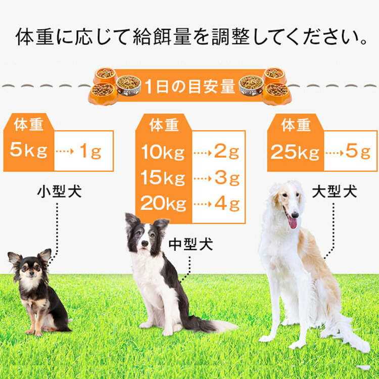 楽天市場】【クーポン使って最大15%OFF】犬 サプリメント DHA シニア