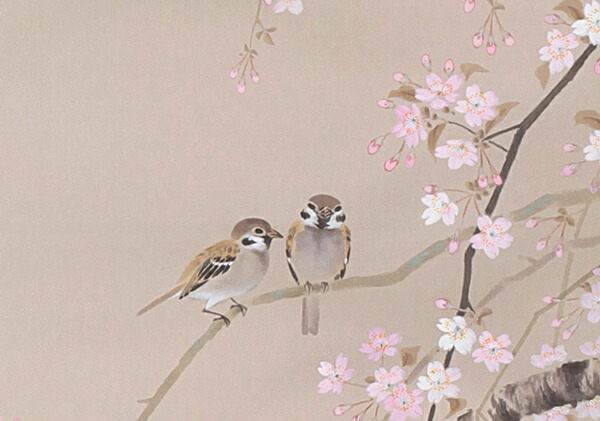 楽天市場】掛け軸 掛軸（かけじく） 桜に小禽（北条 静香）全国送料