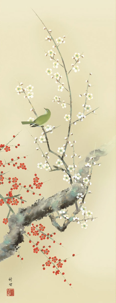 楽天市場】掛け軸 掛軸（かけじく）[尺三立]紅白梅に鶯（田村 竹世