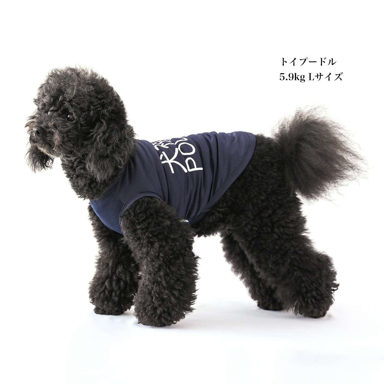 楽天市場】＼クーポンで最大500円OFF／犬 服 タンクトップ 春 夏