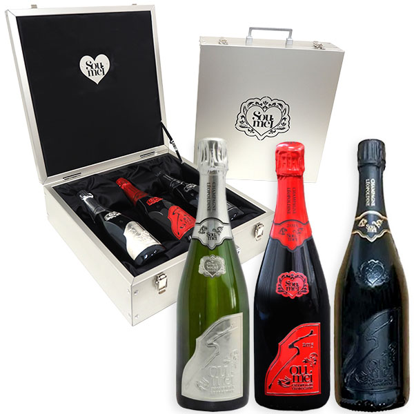 ソウメイ アタッシュケース 6本セット シャンパン レッド ブラック