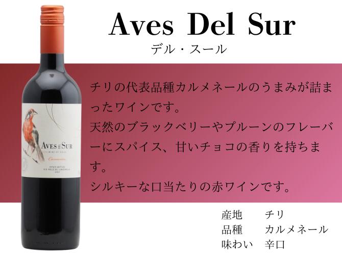 楽天市場】ワイン セット 【送料無料】＜第44弾＞チリワイン6本セット