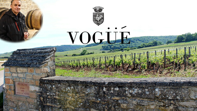 楽天市場】ボンヌ マール[2014]コント ジョルジュ ド ヴォギュエBonnes