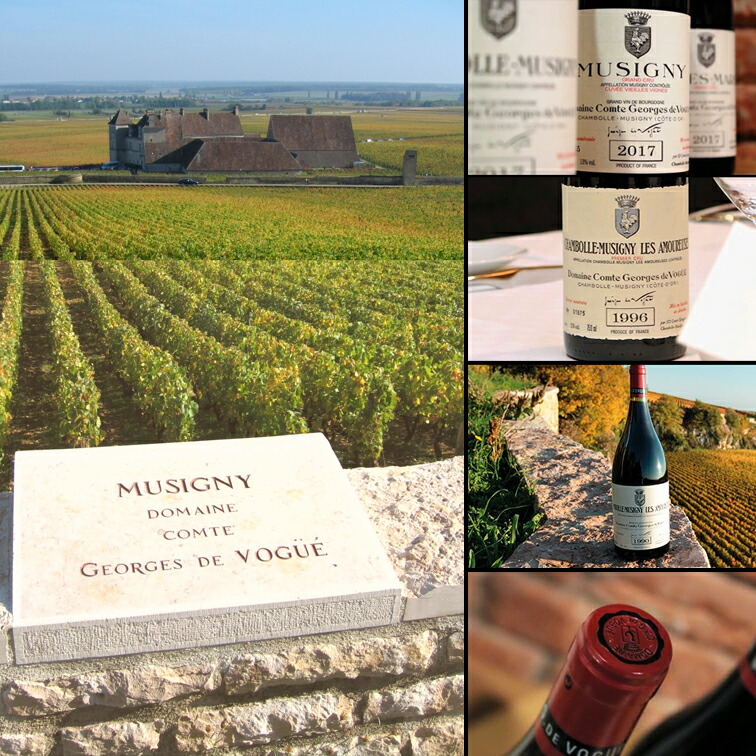 楽天市場】フィーヌ ド ブルゴーニュ [NV] コント ジョルジュ ド