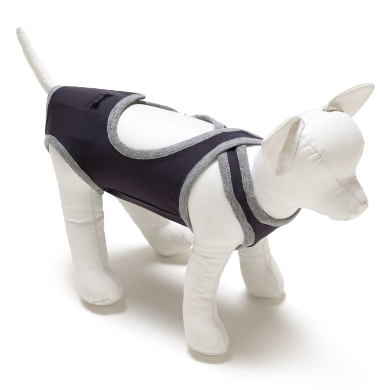 楽天市場】【犬服 介護服 術後服 避妊手術後 乳腺腫瘍 保護服