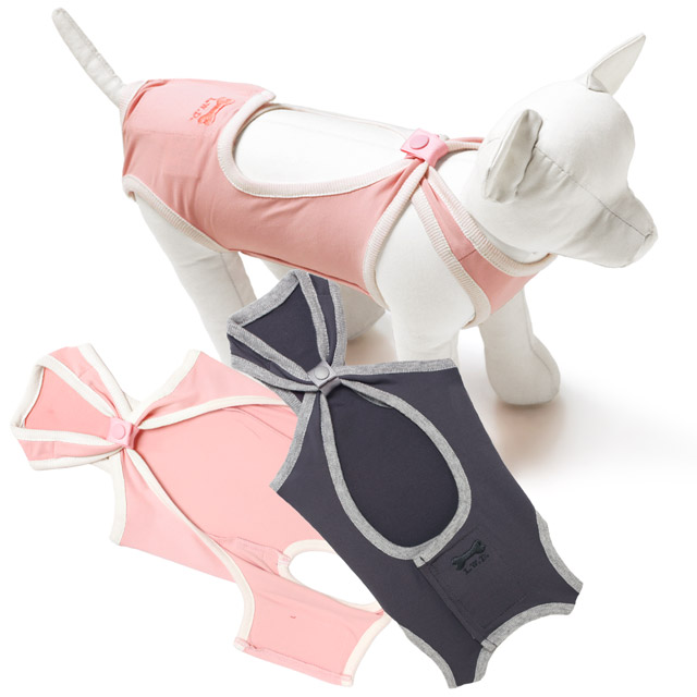 楽天市場】【犬服 介護服 術後服 避妊手術後 乳腺腫瘍 保護服