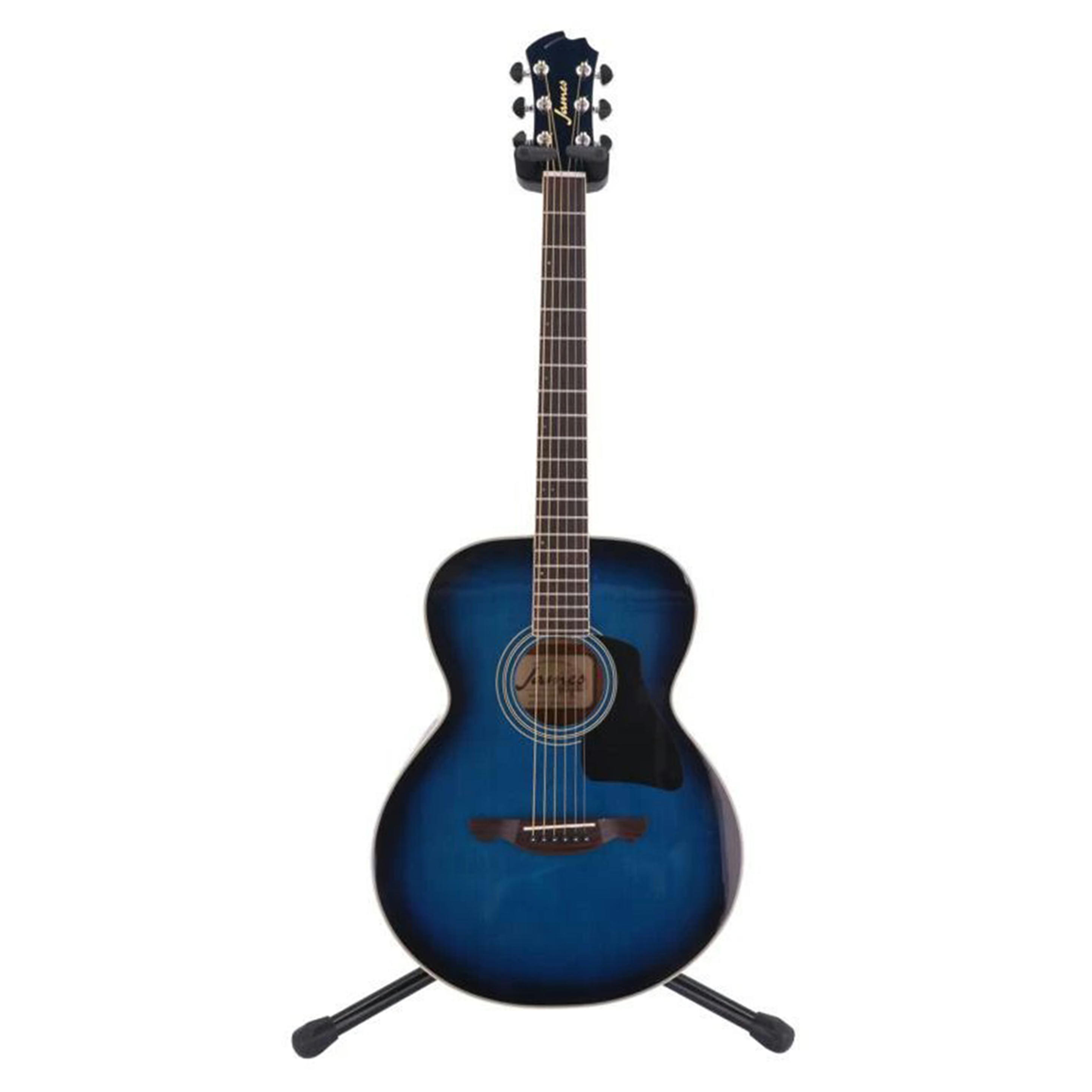 アコースティックギター James JF350BK