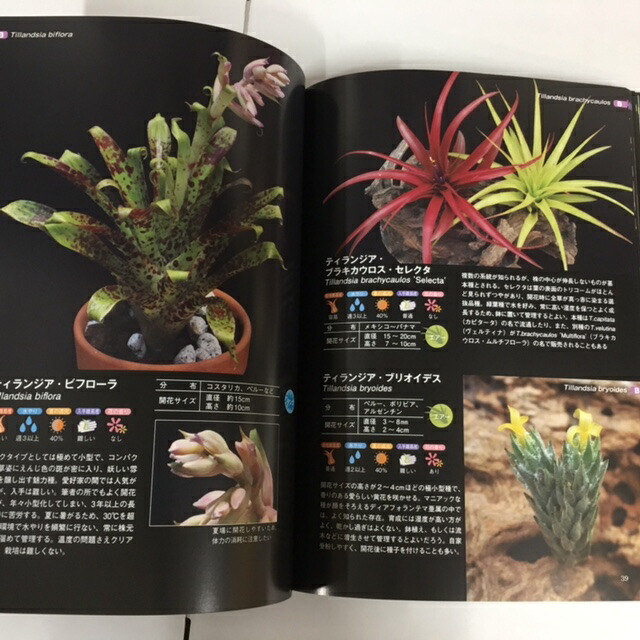 ティランジア ハンドブック ティランジアハンドブック （改訂版） 清水