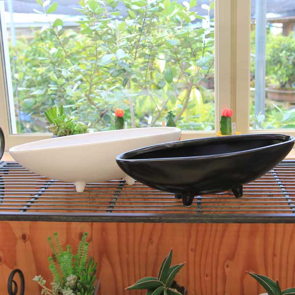 盆栽鉢 ミニ盆栽鉢 富舟 盆栽鉢 富舟 富舟さんの鉢 | みさきのミニ盆栽遊び