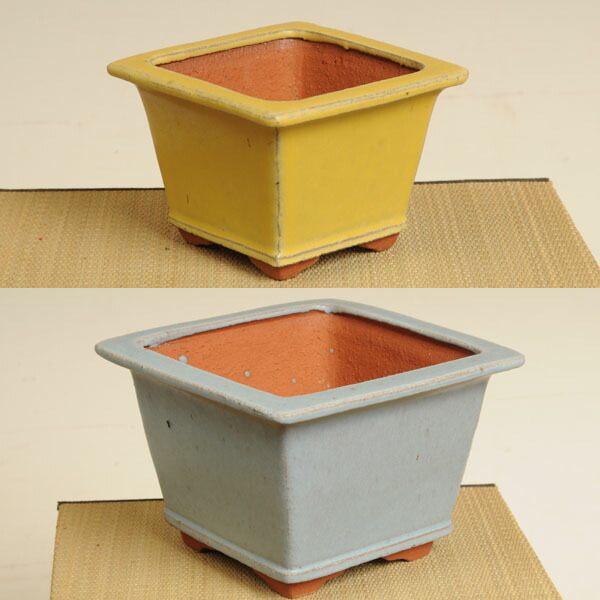 楽天市場】鉢：燿山 正方鉢 13cm*資材 : 遊恵盆栽 楽天市場店