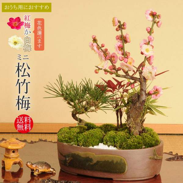 平安虹泉　丸　盆栽鉢 現代小鉢：平安虹泉 碗型丸鉢 12.1cm【現】*資材 : 遊恵盆栽 Yahoo