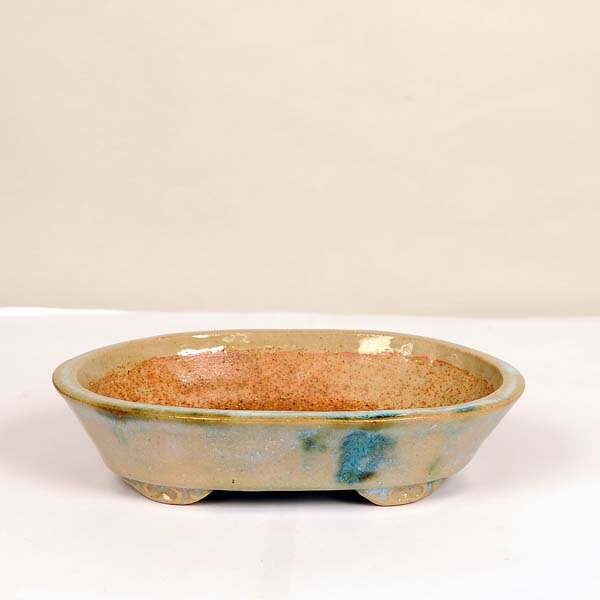 瑞穂 楕円 盆栽鉢 瑞穂 楕円 盆栽鉢 瑞穂 楕円 盆栽鉢 楕円 鉢」の人気