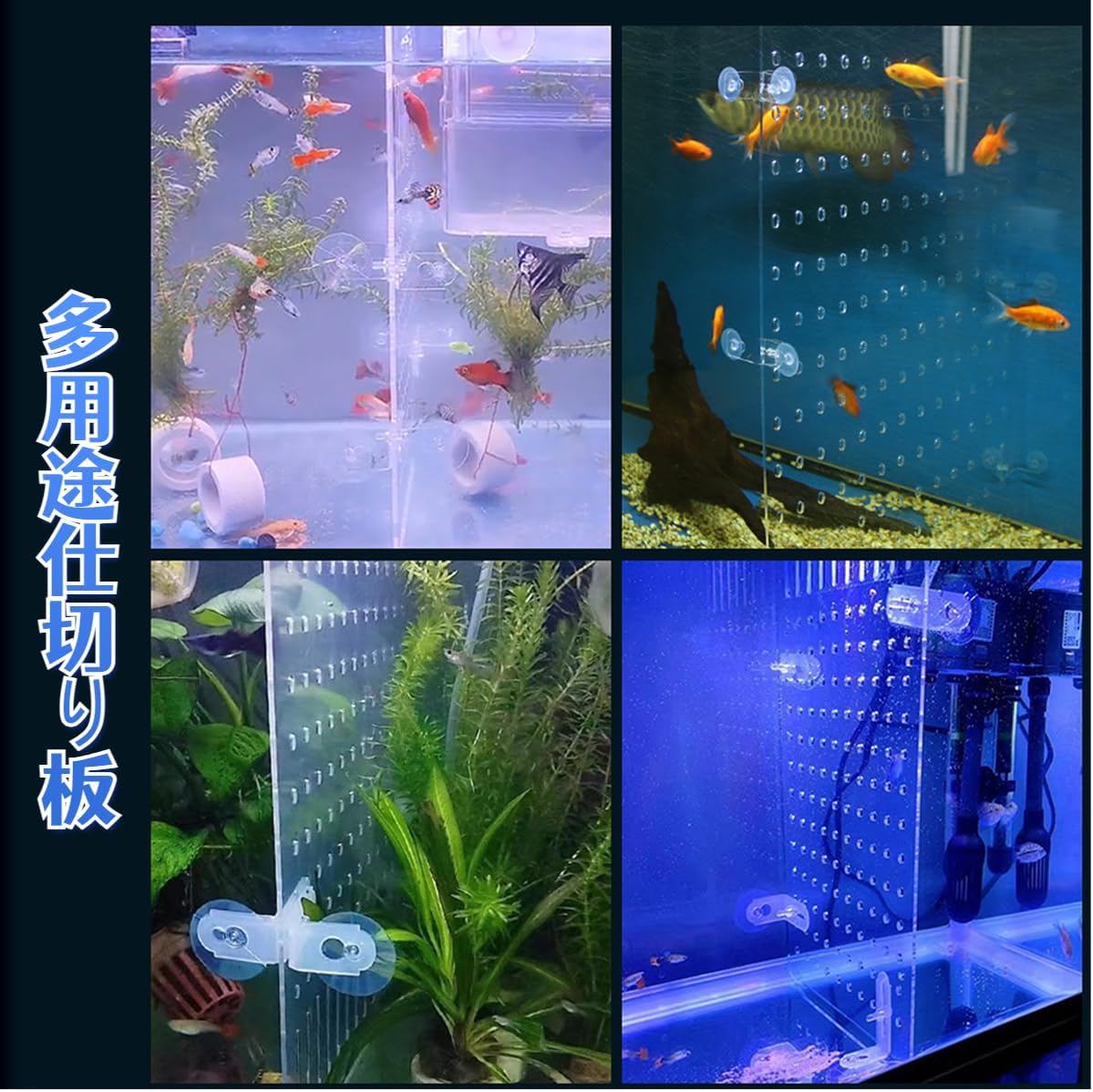 楽天市場】Yurika 水槽仕切り板 20 セパレーター 水槽用 魚隔離板 透明