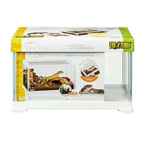 楽天市場】グラステラリウム3030 ホワイトの通販