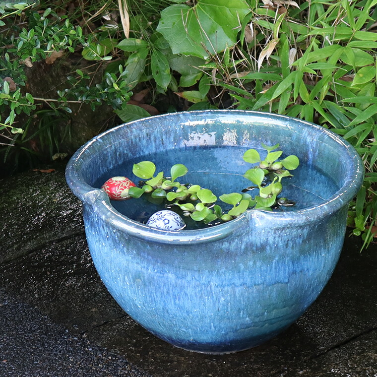 楽天市場】信楽焼 メダカ鉢 おしゃれ 水鉢 睡蓮鉢 陶器 めだか 鉢