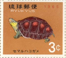 楽天市場】【沖縄切手】亀シリーズ「セマルハコガメ」3セント