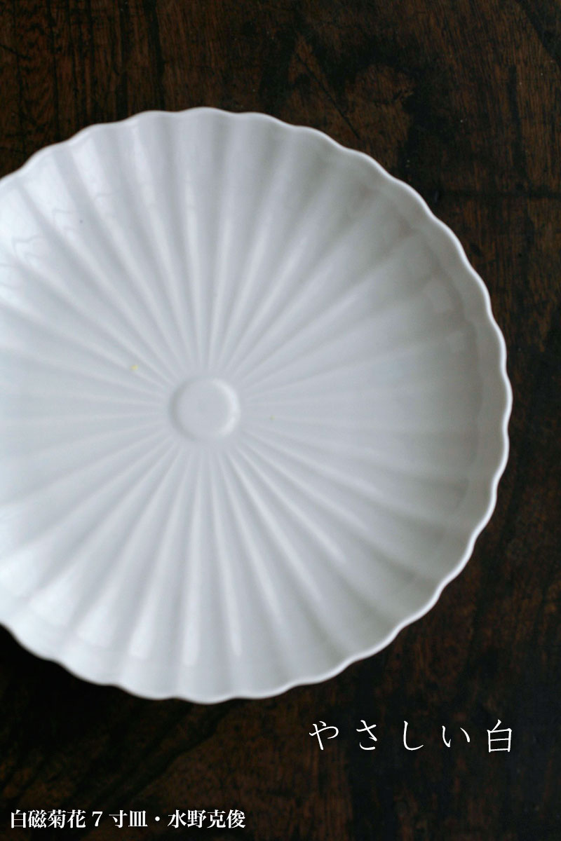 楽天市場】白磁：白磁菊花7寸皿・水野克俊《中皿・21.0cm》 : 和食器の