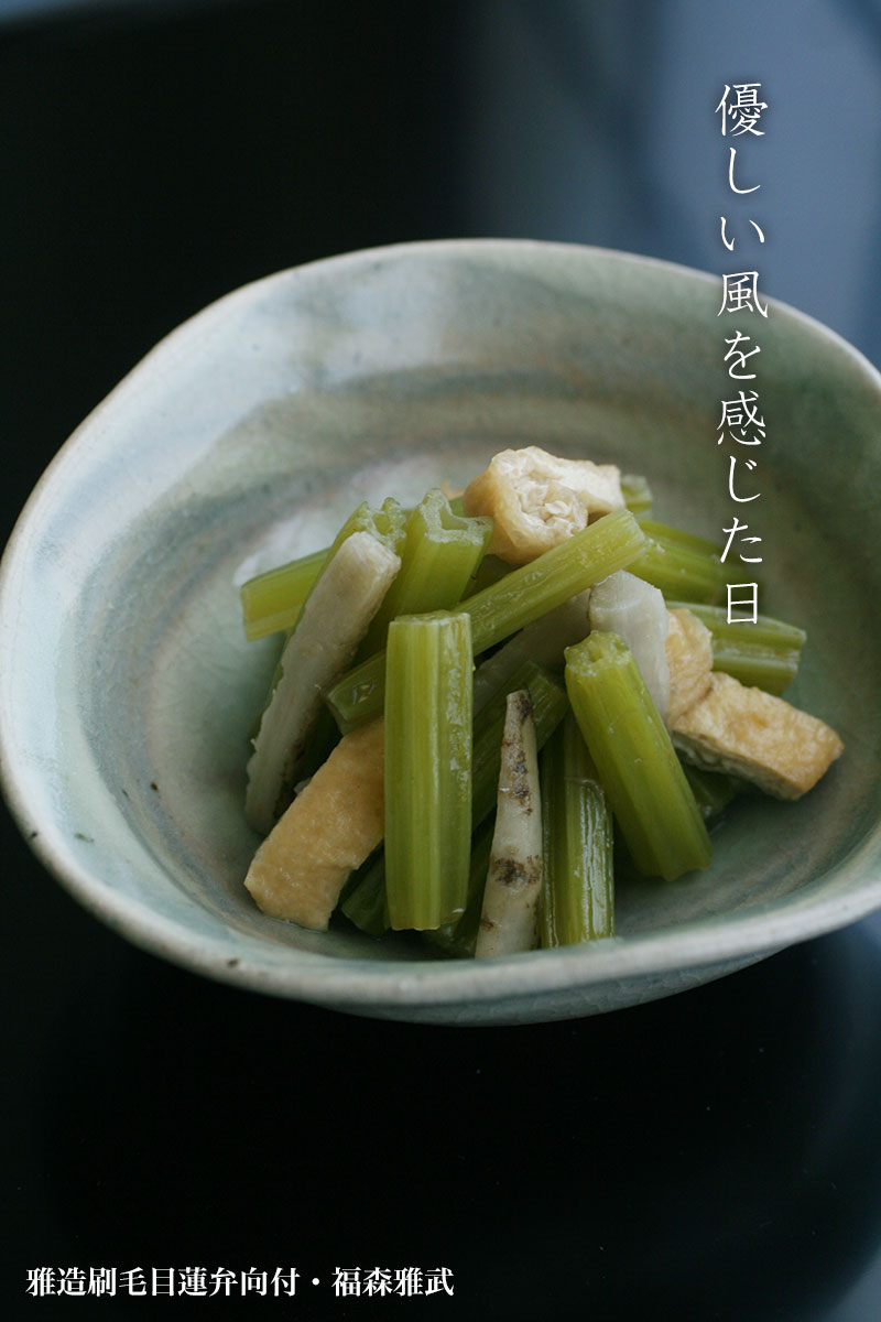 楽天市場】伊賀焼：雅造刷毛目蓮弁向付・土楽：福森雅武《小鉢・向付