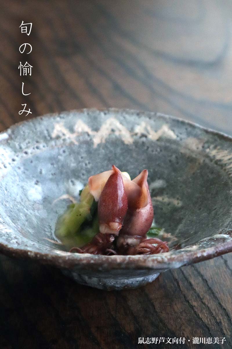 楽天市場】志野焼：鼠志野芦文向付・瀧川恵美子《小鉢・15.5cm》 : 和