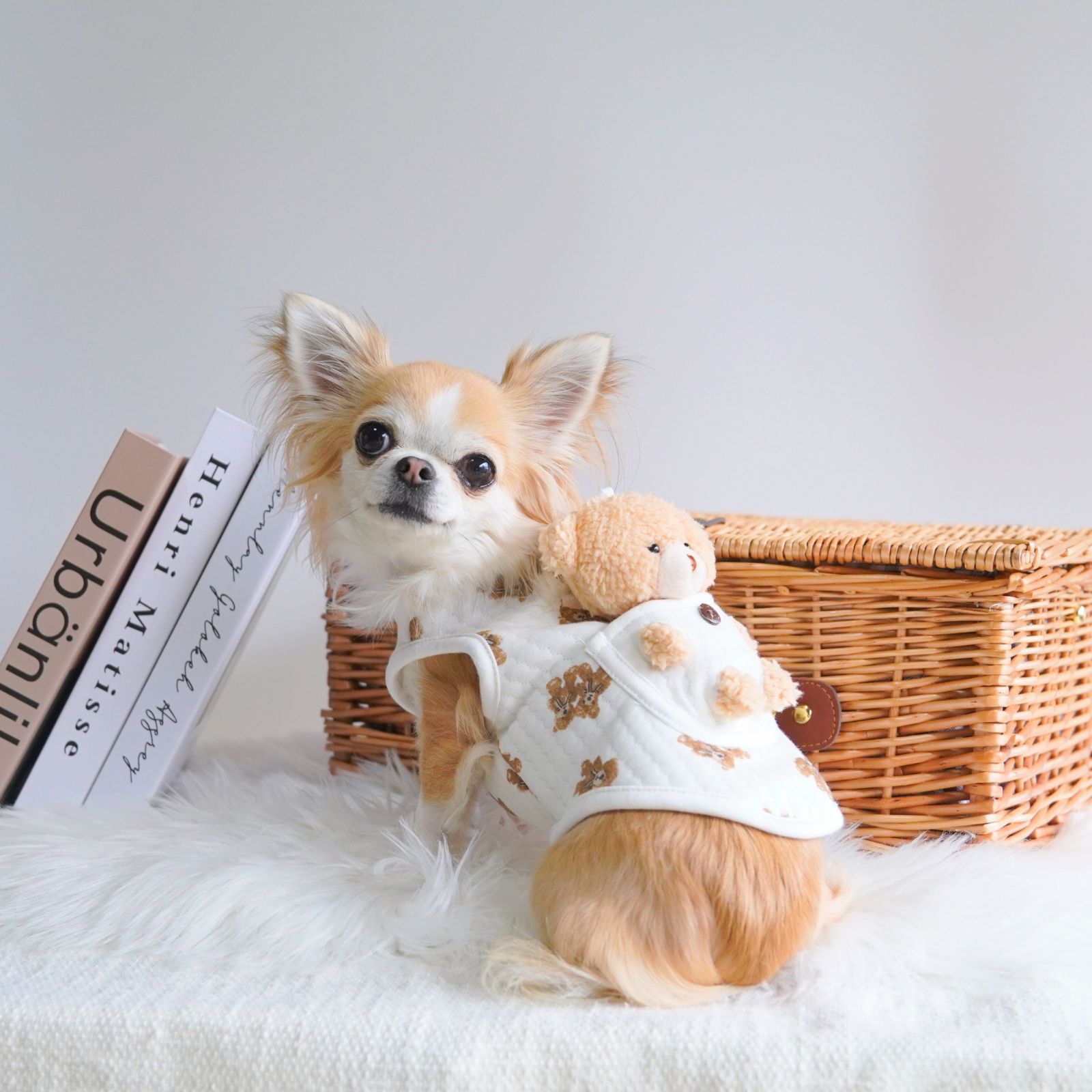 犬服 SS わんこの普段着 くまさんいっぱい 犬服 SS わんこの普段着くま