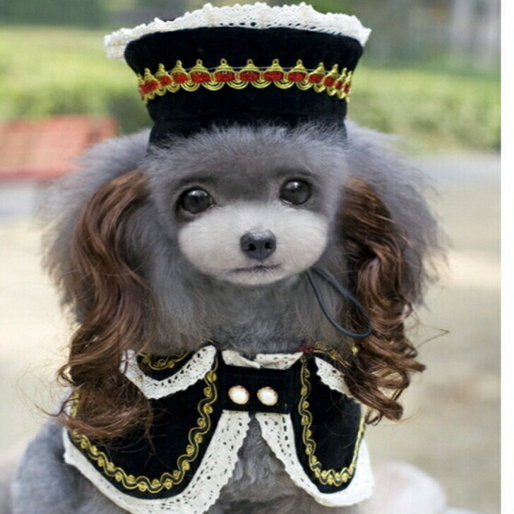 襟つき首輪、ハロウィン限定、スイートロリータ(ブルー)わんちゃん猫