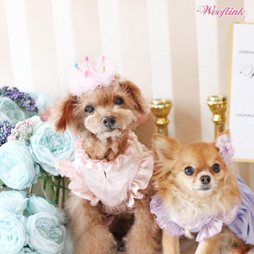 楽天市場】【Wooflink】ウーフリンク PERFECT DAY DRESS サイズ2